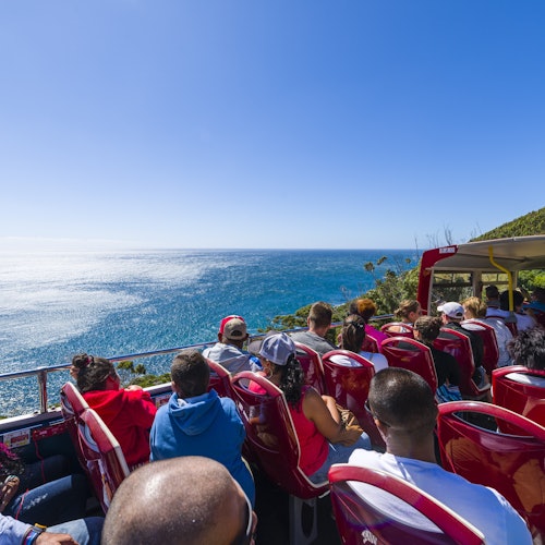 Hop-on Hop-off Bus Cape Town: Classic or Premium Ticket — gallery 4