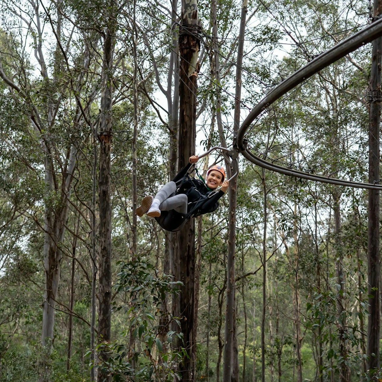 Treetops Adventure Central Coast: Zipcoaster Ride