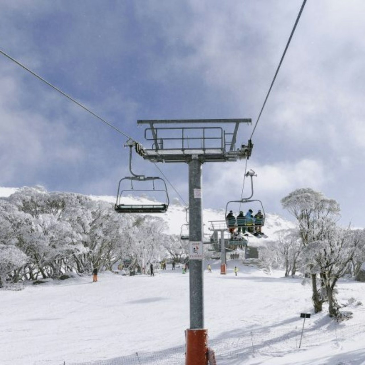 Full Day Thredbo Snow Tour
