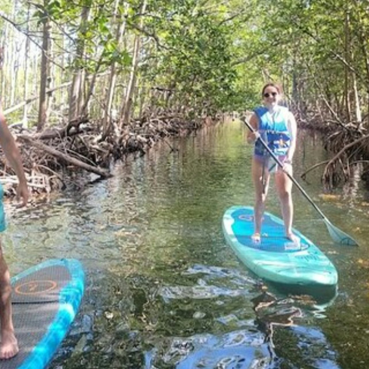 Mangrove Jungle: SUP/Kayak Adventure + Drinks