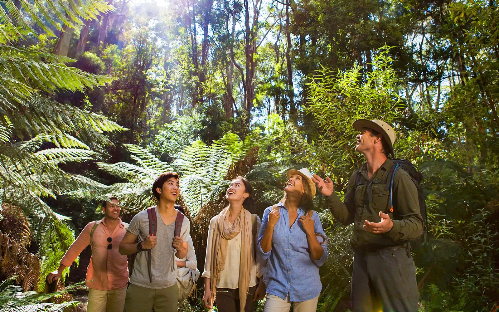Great Ocean Road & 12 Apostles Classic Day Tour
