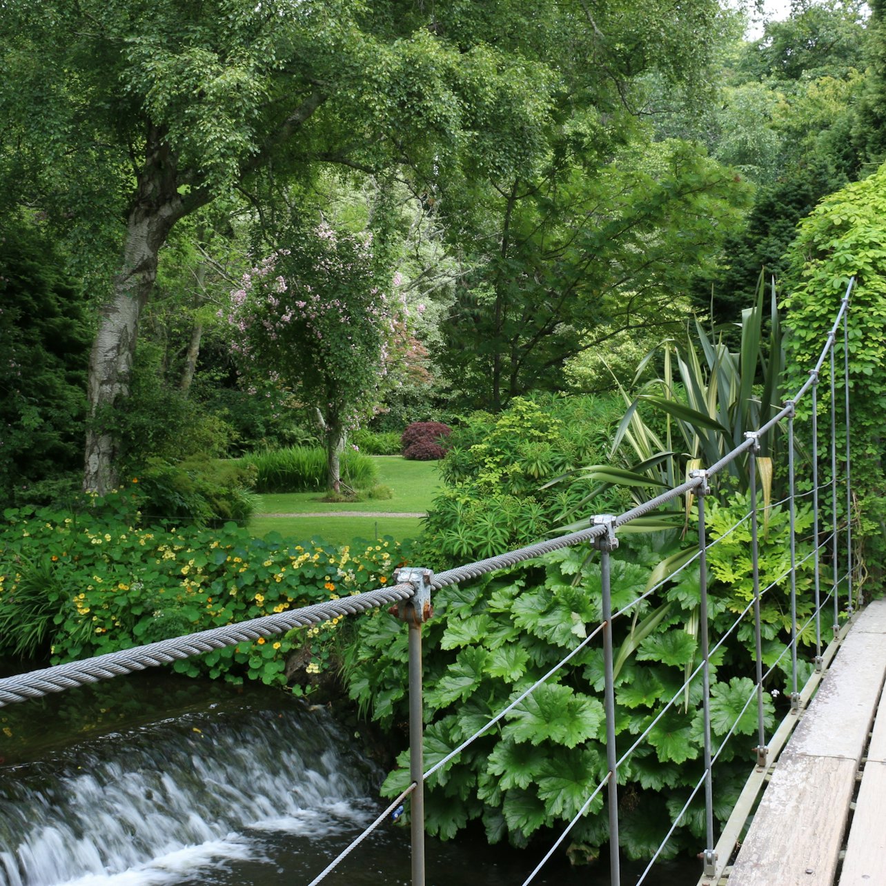 Avoca Mount Usher Gardens: Self Guided Experience