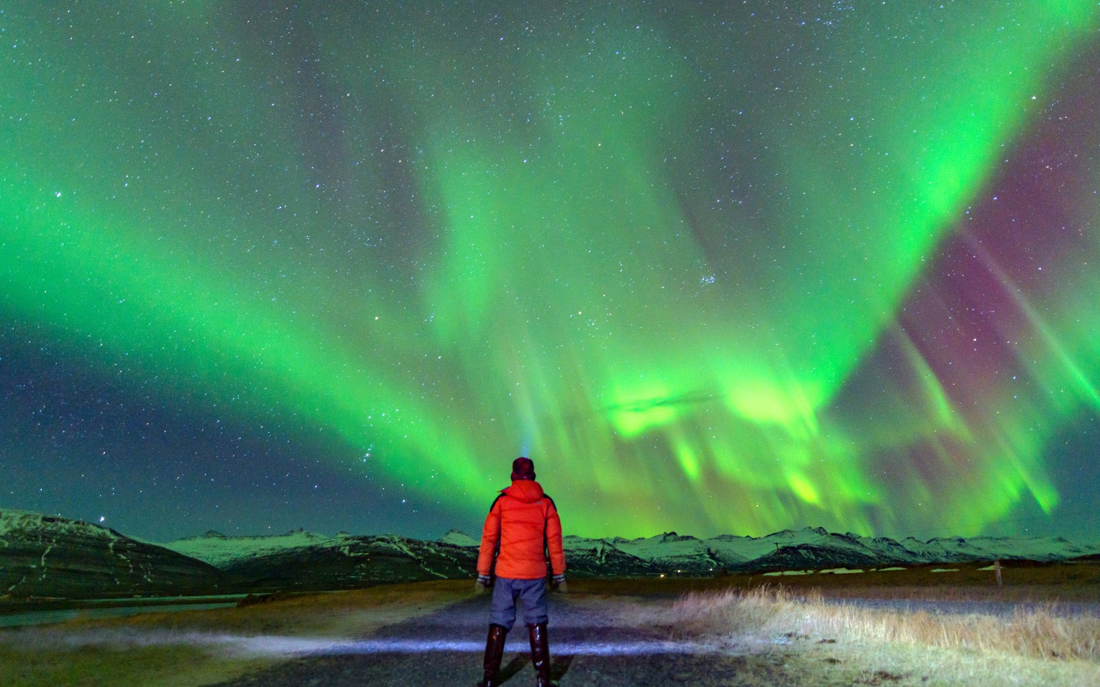 Reykjavik: Northern Lights Chase Tours 