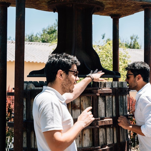 Toledo: City & Winery Tour from Madrid + Wine Tasting — gallery 4