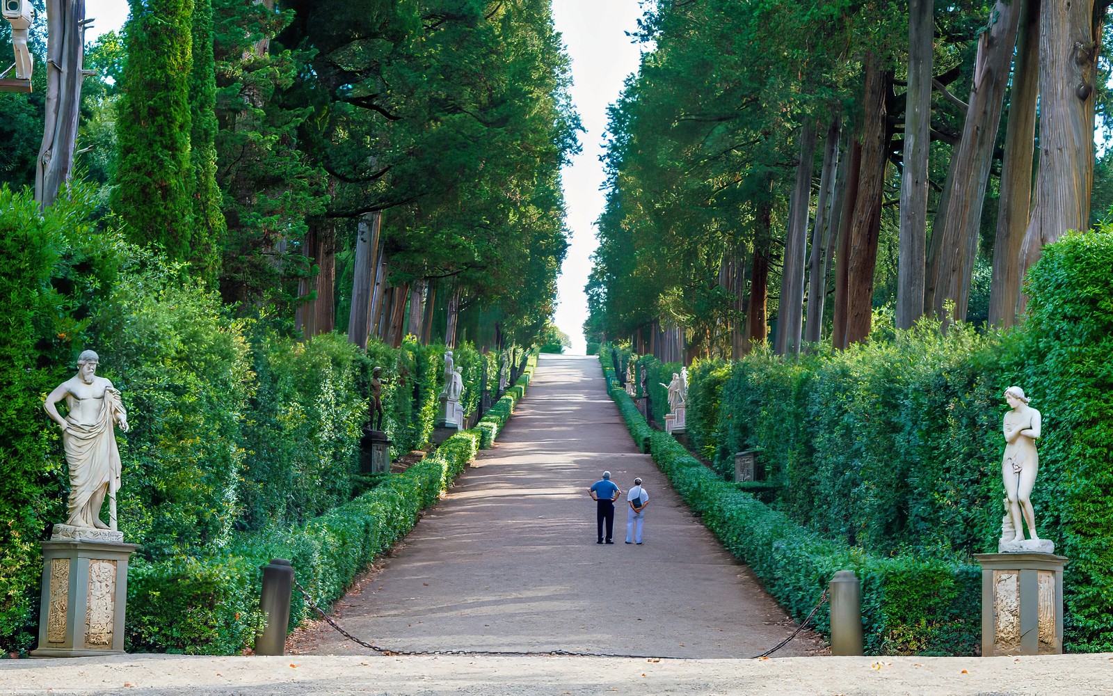 Pitti Palace & Palatine Gallery, Boboli & Bardini Gardens Skip-the-Line Tickets — gallery 5
