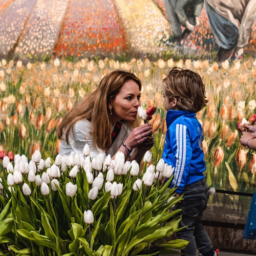 Keukenhof & Tulip Experience: Entry Ticket + Transfer + Coffee or Tea