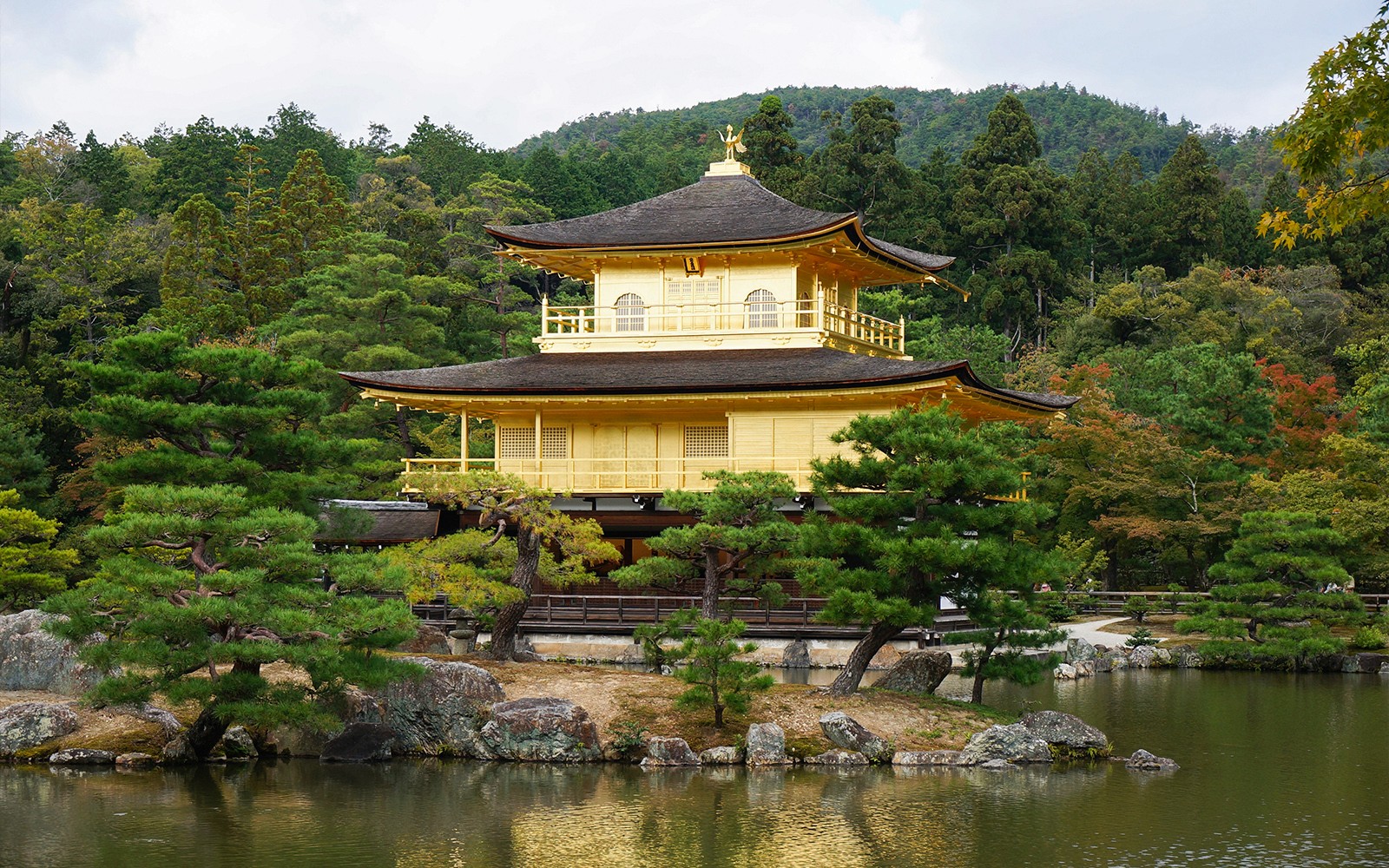 Guided Tour of Nijo Castle And Kinkaku-Ji Temple