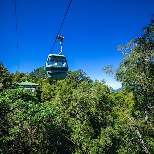 Self-Drive Kuranda Experience: Skyrail Rainforest Cableway & Scenic Rail — gallery 1