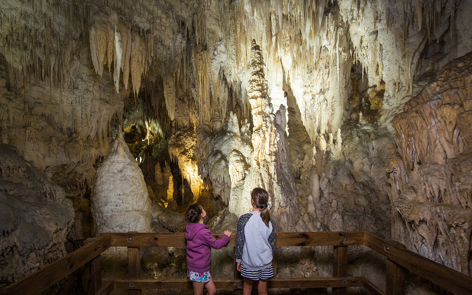 Aranui Cave Guided Tour