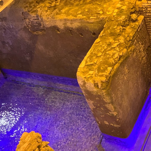 Trevi Fountain Rome: Underground Domus Guided Tour — gallery 1