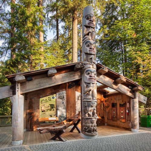 Vancouver: Capilano Suspension Bridge Park & City Tour — gallery 2