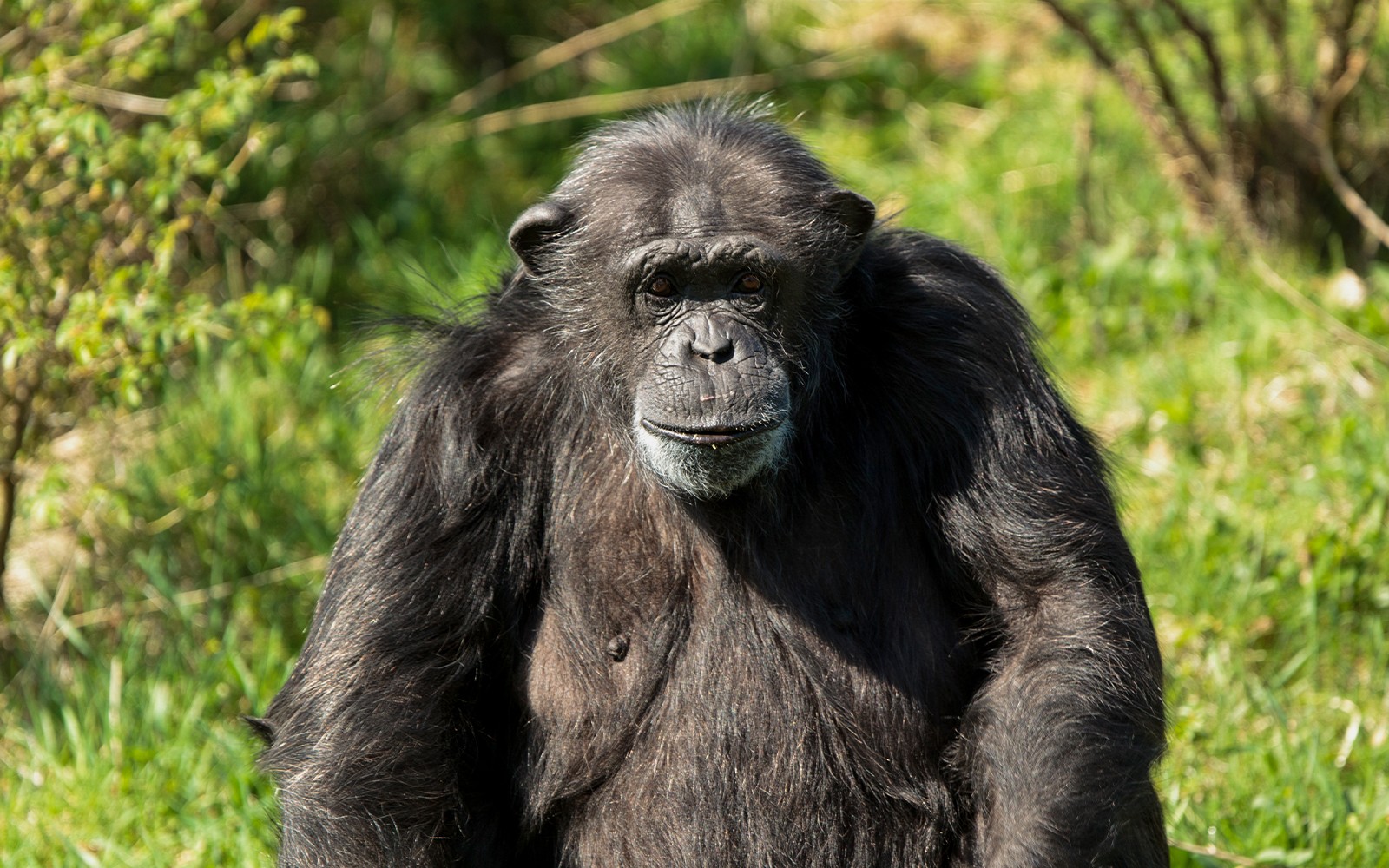 Whipsnade Zoo Entrance Tickets — gallery 3