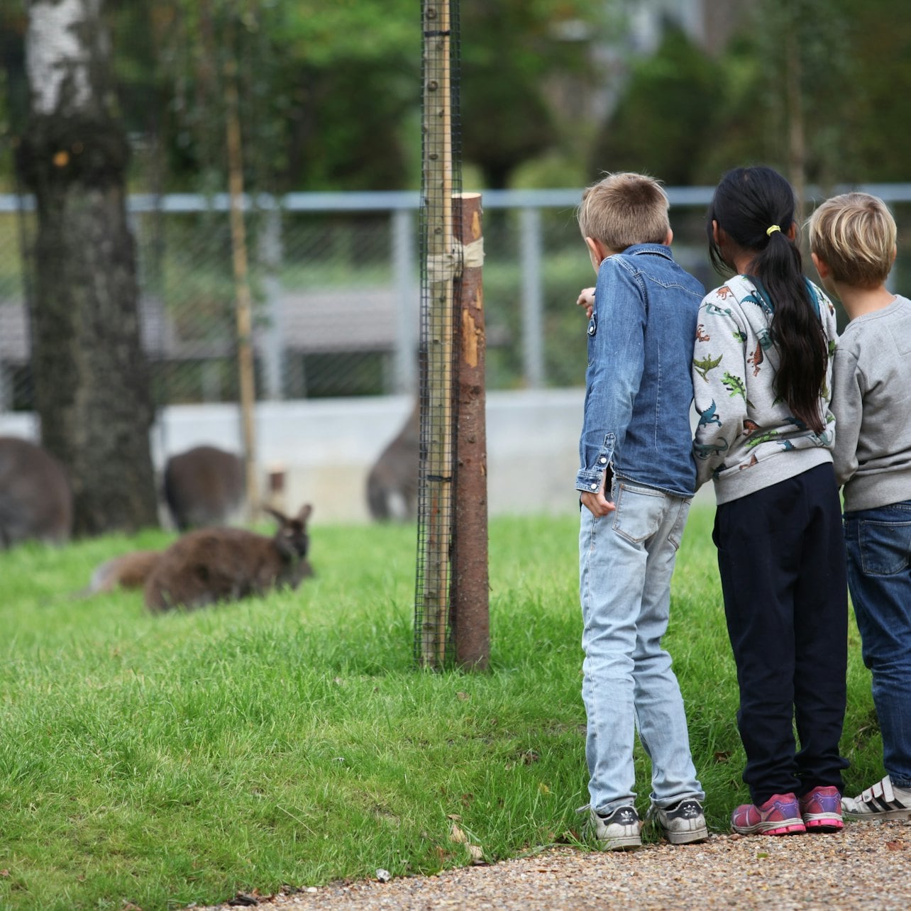 Copenhagen ZOO: Skip The Line Ticket