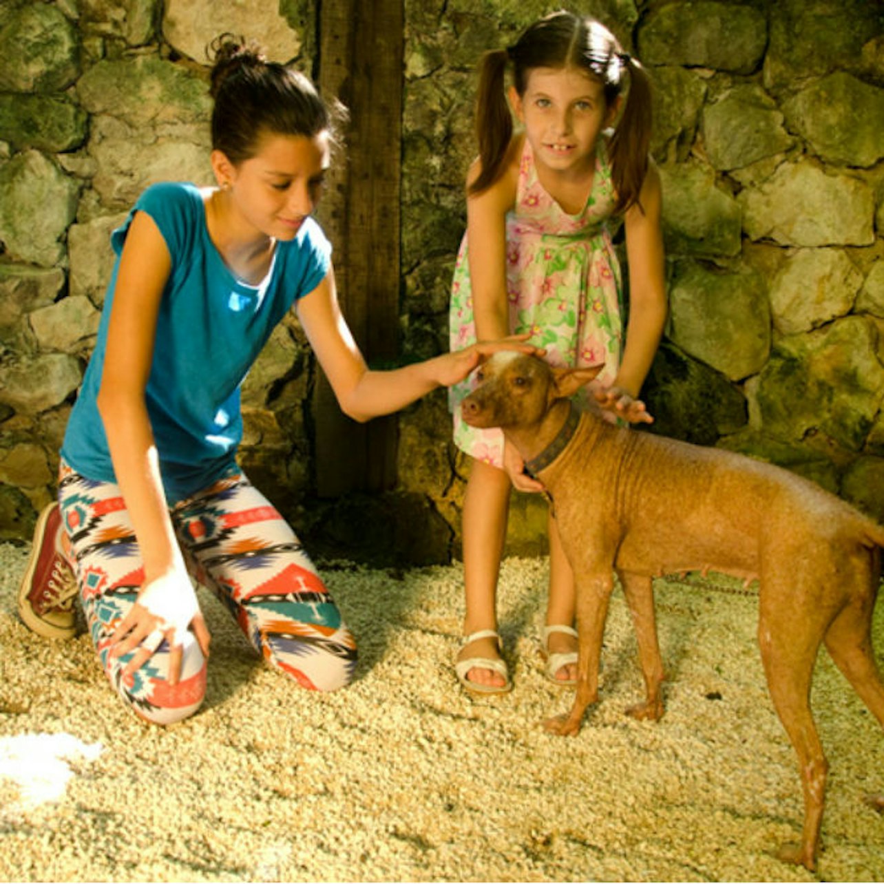 Croco Cun Zoo: Fast Track Ticket