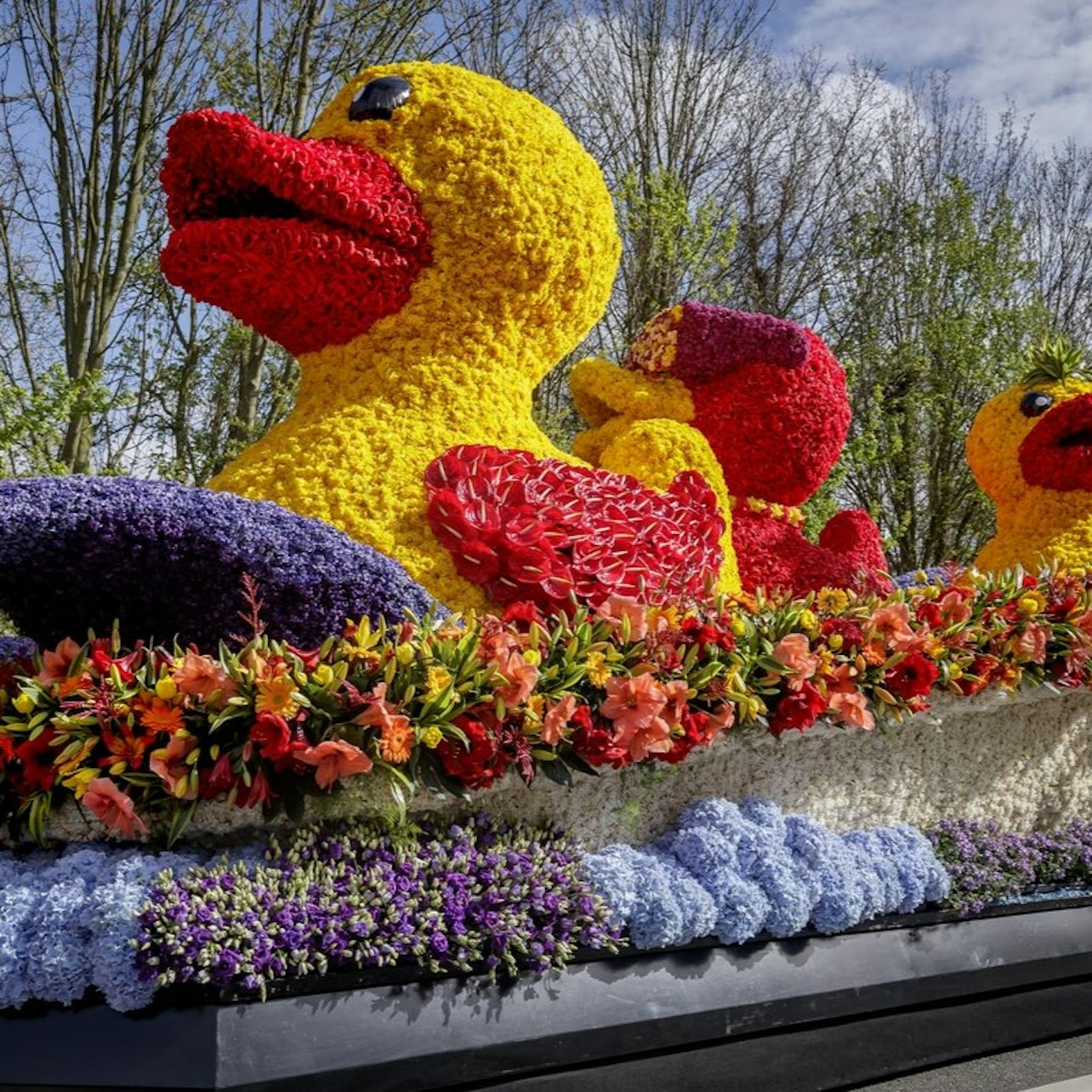 Amsterdam: Tulip Farm Entry + Flower Parade + Transport