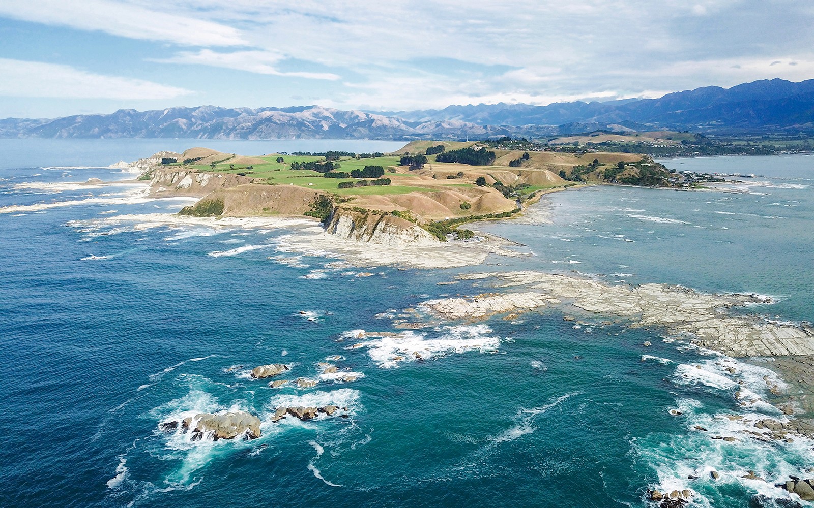 From Christchurch: Kaikoura Whale Watch Day Trip with Round-Trip Transfers