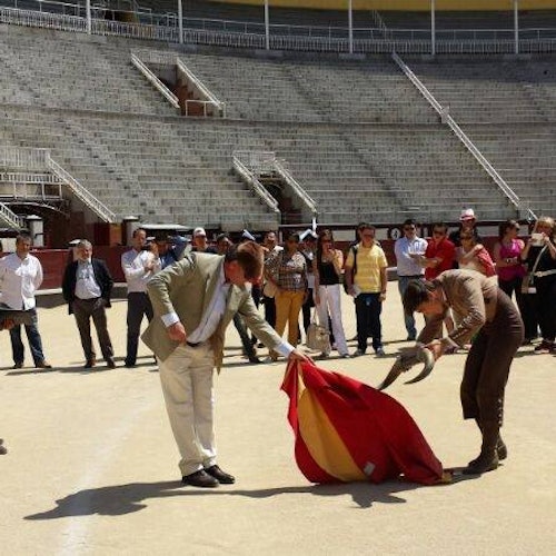 Las Ventas Bullring & Museum: Entry + Audio guide — gallery 1