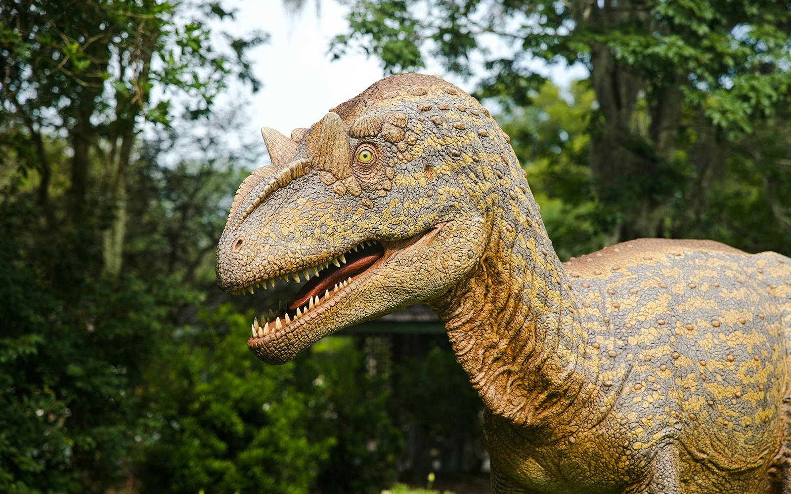 Kualoa Ranch: Jurassic Adventure Tour