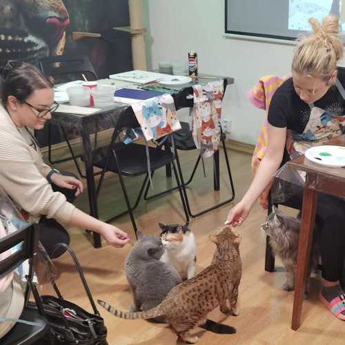 Cat Museum Budapest: Guided Acrylic Painting Workshop — gallery 1