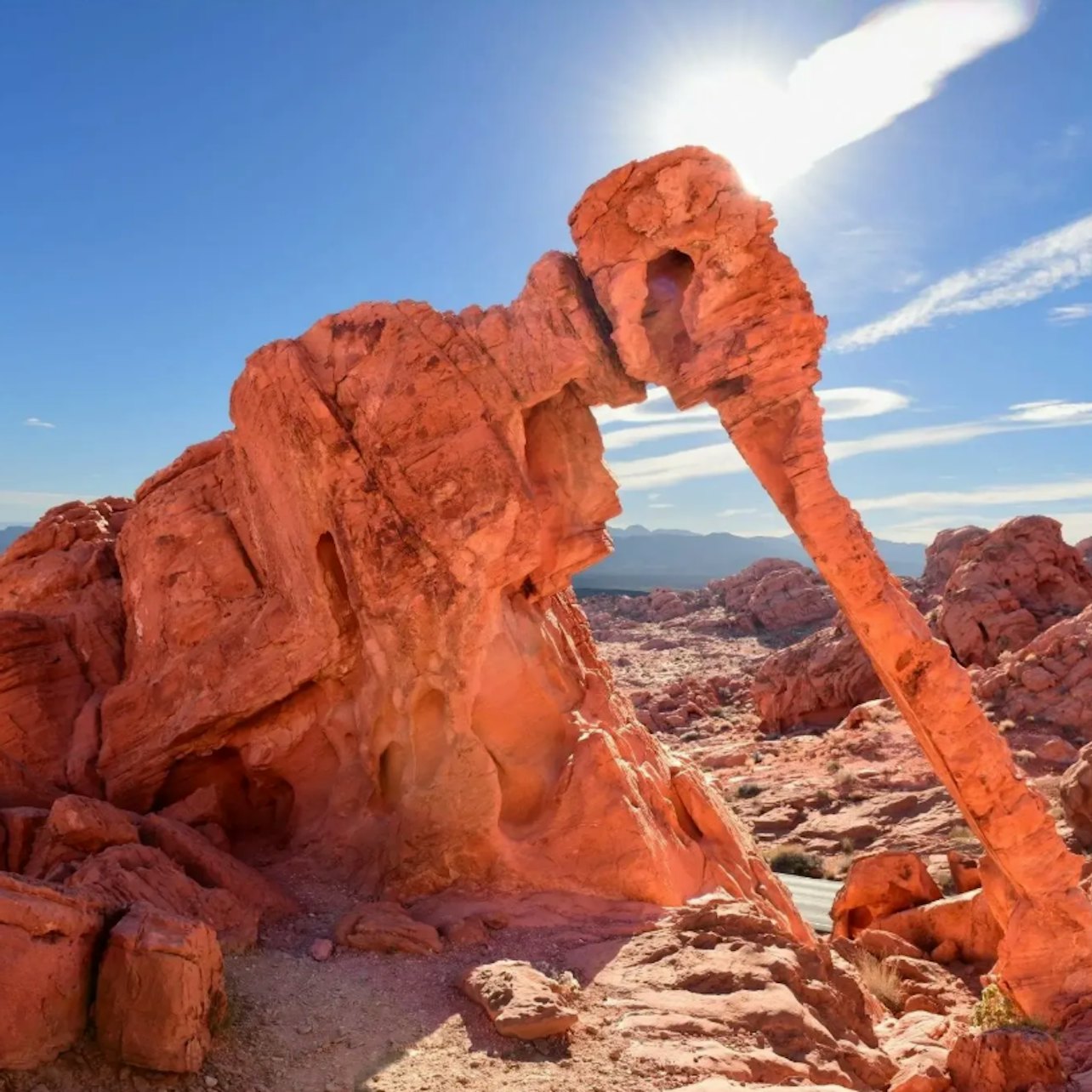 Valley of Fire & Seven Magic Mountains Tour tickets