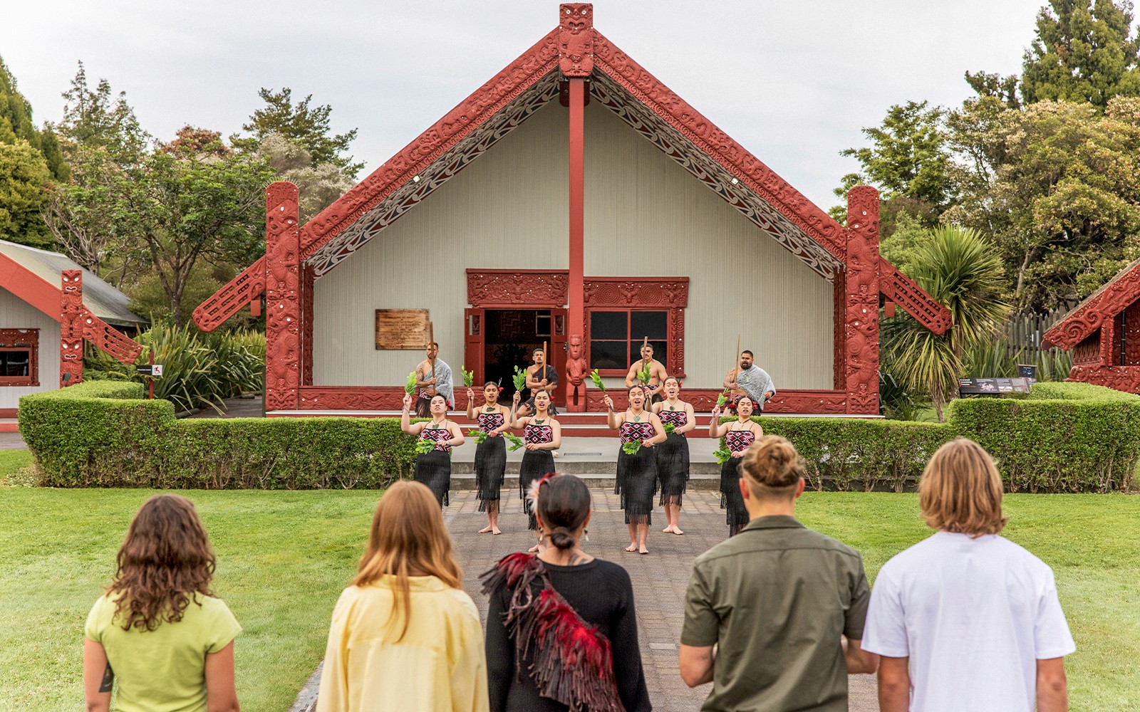 From Auckland: Waitomo Caves, Rotorua & Te Puia Guided Tour