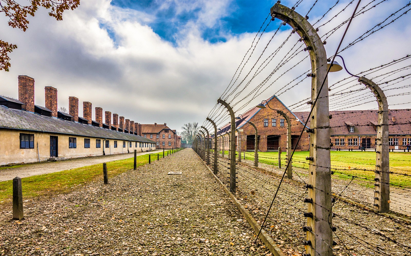 Full-Day Tour of Auschwitz-Birkenau and Wieliczka Salt Mine with Transfers from Krakow & Lunch — gallery 2