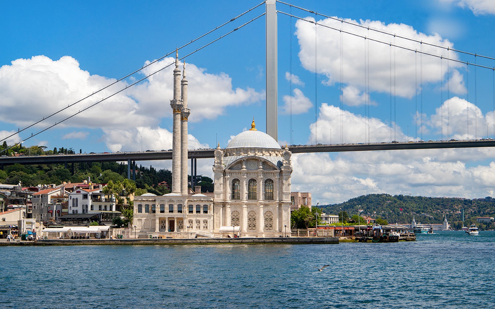 Bosphorus Sightseeing Cruise with Optional Audio Guide — gallery 3