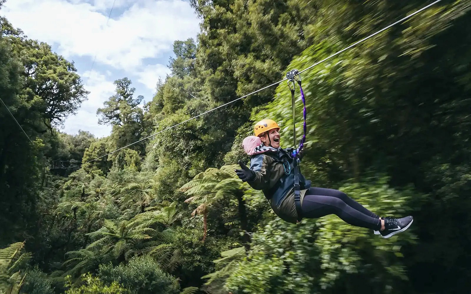 Rotorua Forest Zipline Experience