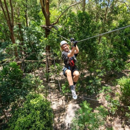 Currumbin Wildlife Sanctuary and TreeTop Challenge: Combo Ticket — gallery 1