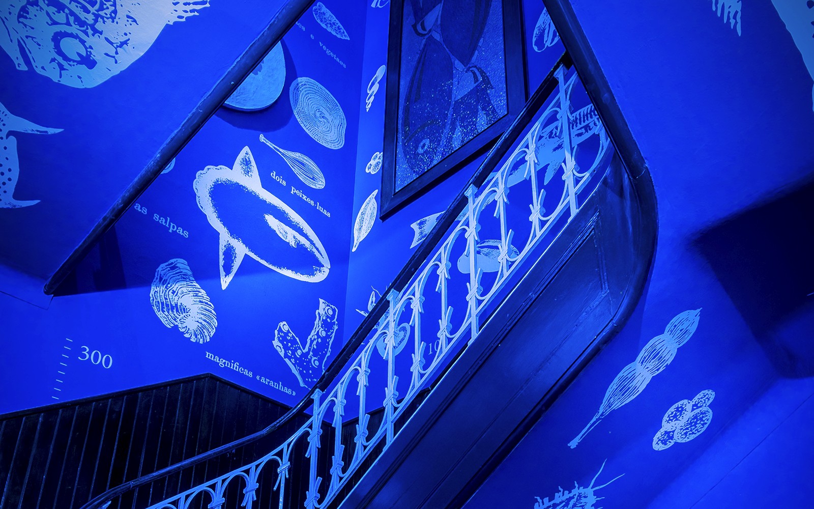 Tickets to Vasco da Gama Aquarium in Lisbon — gallery 2