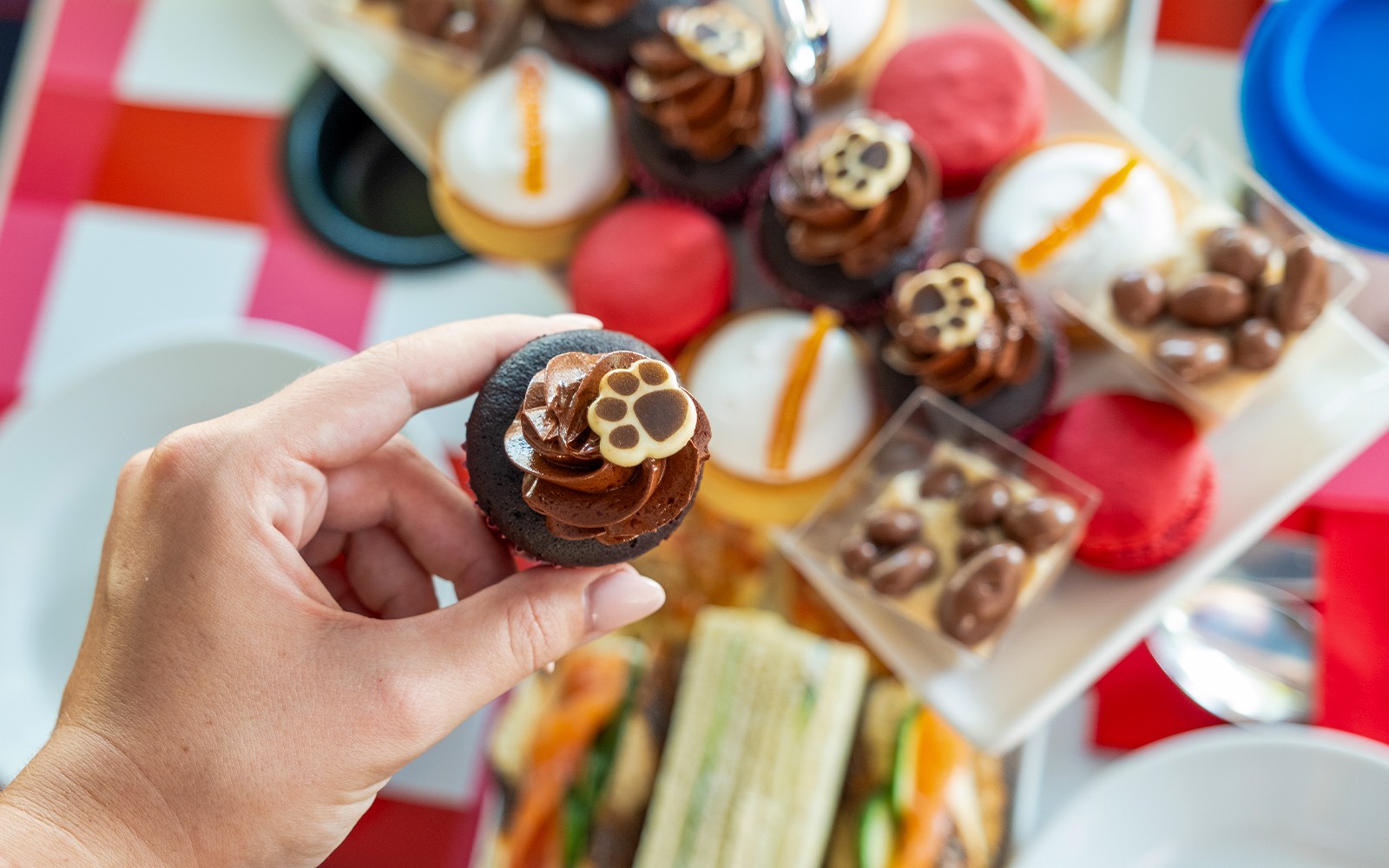 Brigit’s Bakery: Paddington Afternoon Tea Bus Tour — gallery 1