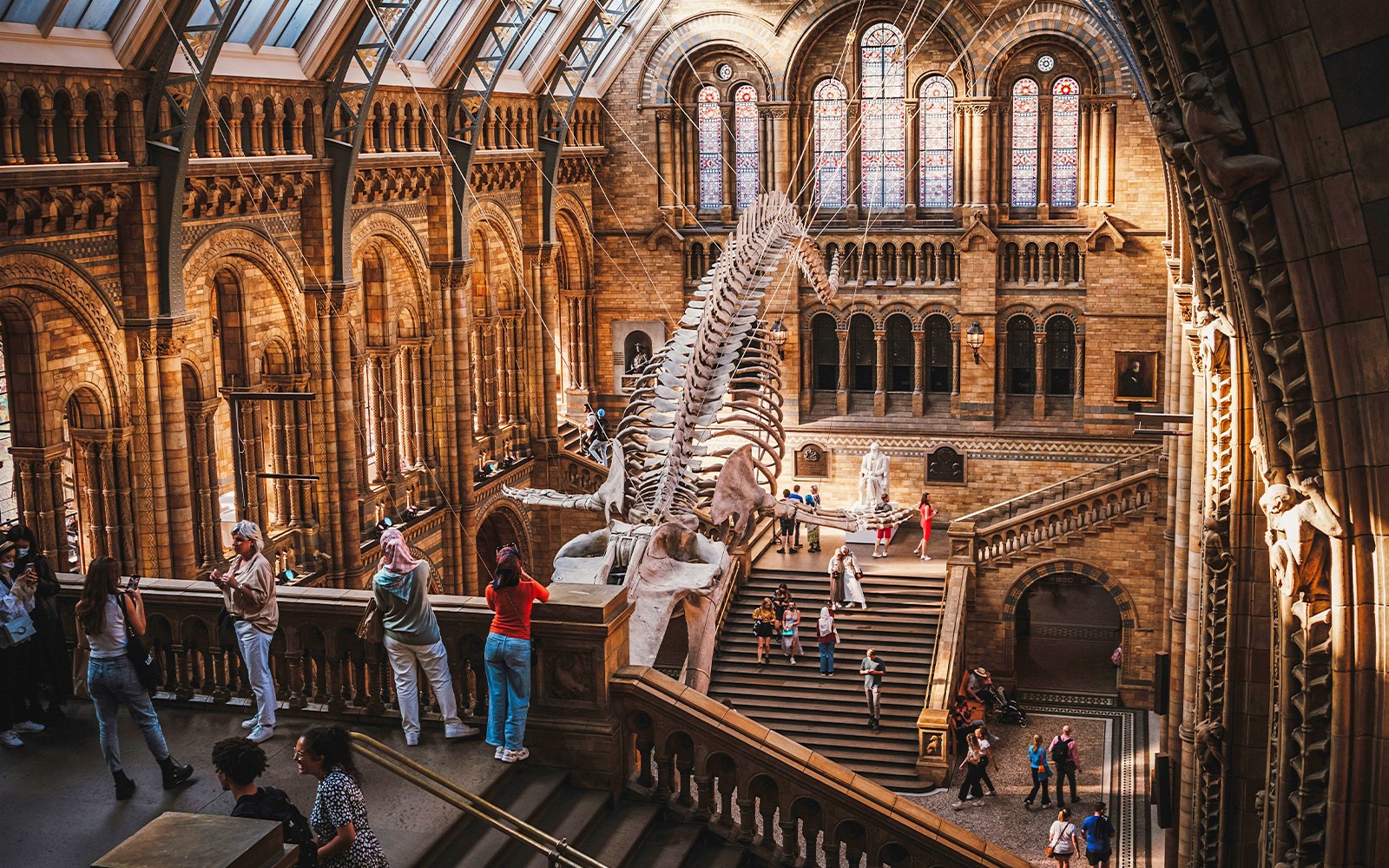 Natural History Museum Reserved Entry Ticket & Audio Tour — mobile