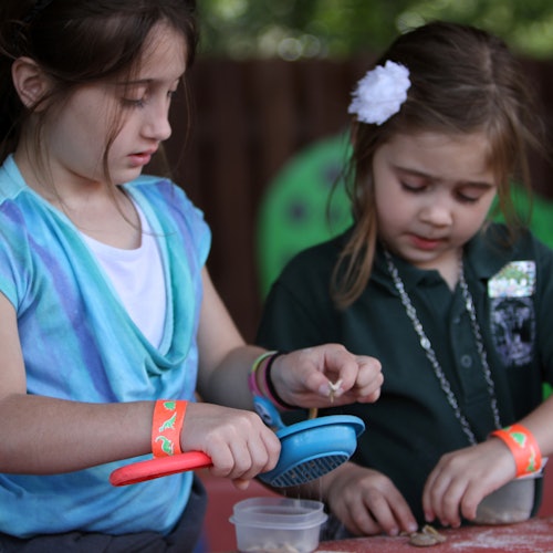 Dinosaur World Florida: Entry Ticket