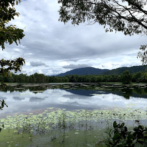Barron Falls, Cattana Wetlands & Skyrail Rainforest Cableway: Tour + Lunch — gallery 1