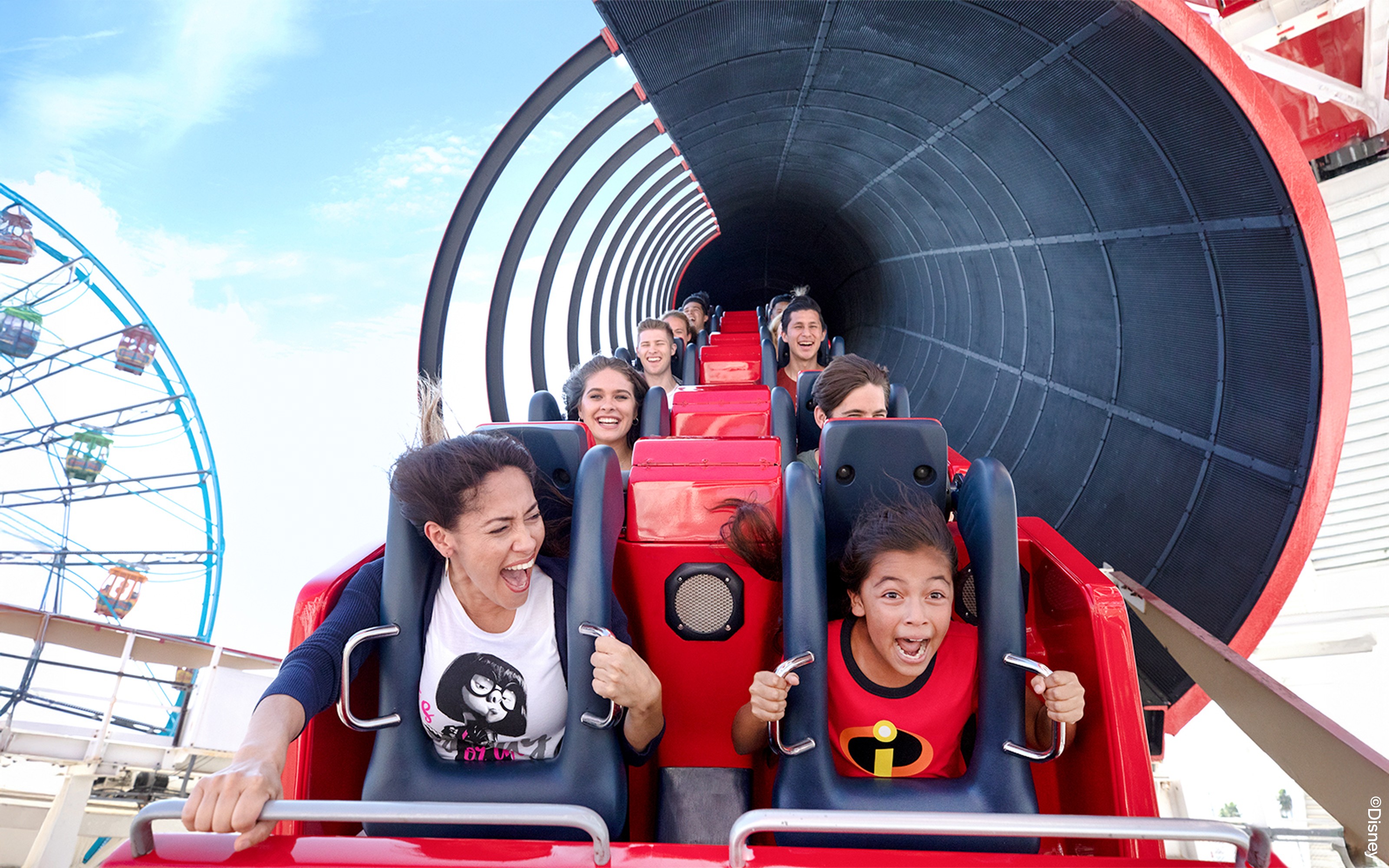 Disneyland California Lightning Pass (1-3 Days)