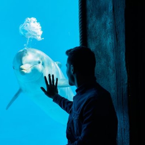 Mundomar Benidorm: Skip The Line Ticket — gallery 3