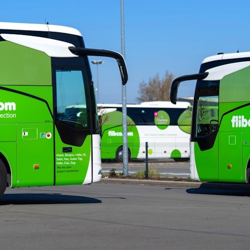 London: Bus Transfer To/From Luton Airport and London Victoria — gallery 2