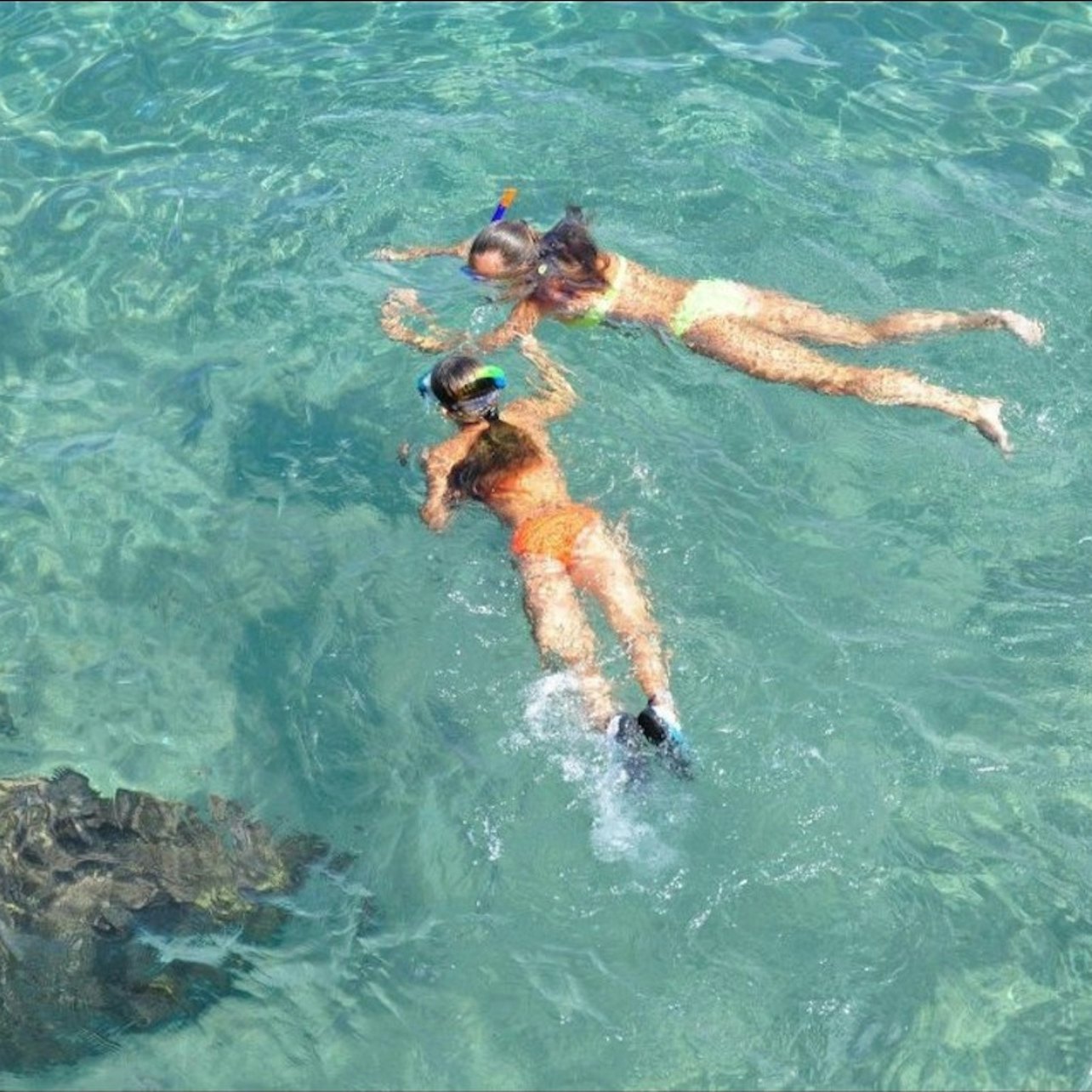 Islamorada: Snorkel Adventure & Sandbar Trip