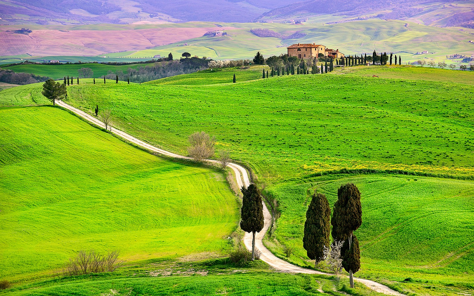 Full-Day Tour of Val D’Orcia — gallery 4