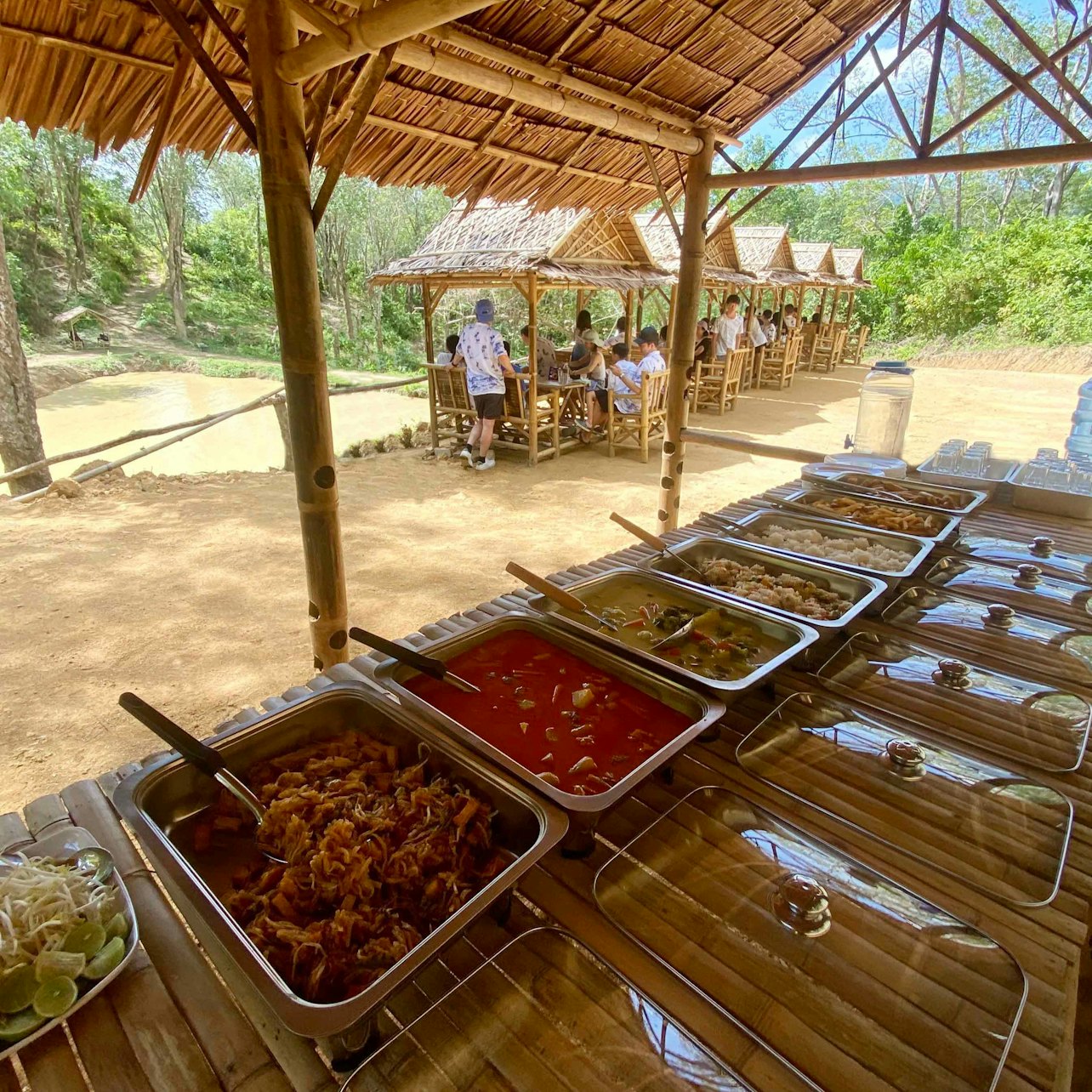 Hidden Forest Elephant Reserve: Guided Tour + Roundtrip Transport