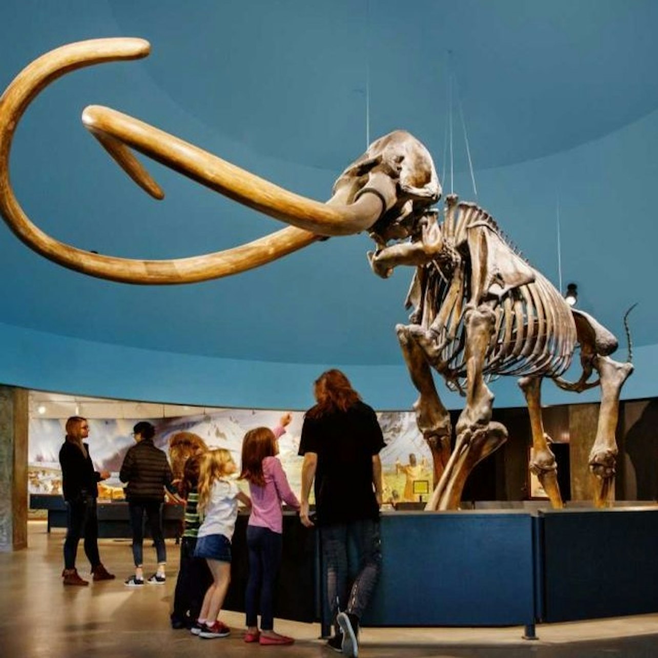 La Brea Tar Pits Museum — gallery 3