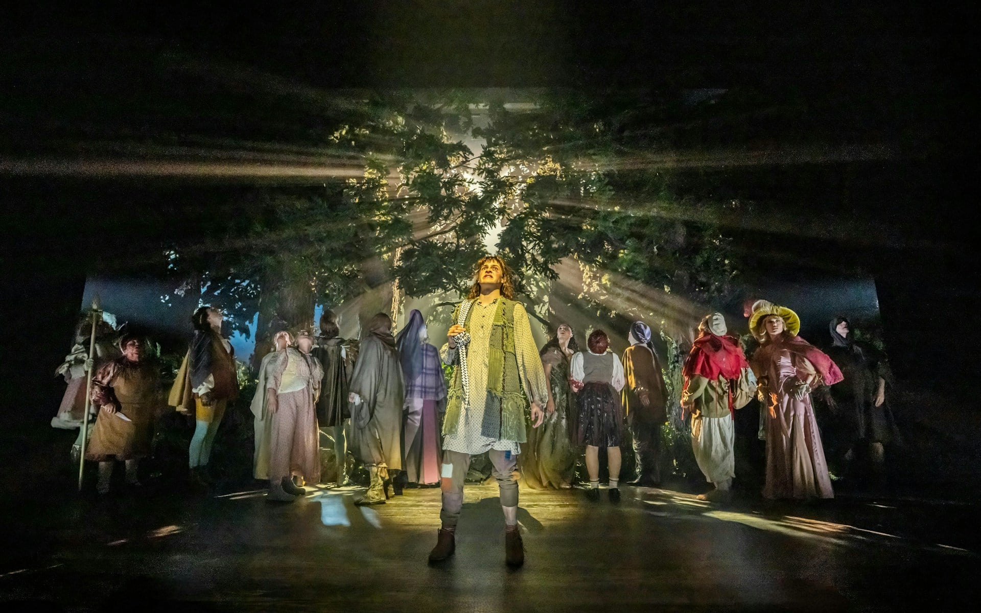 Into the Woods — photo 3