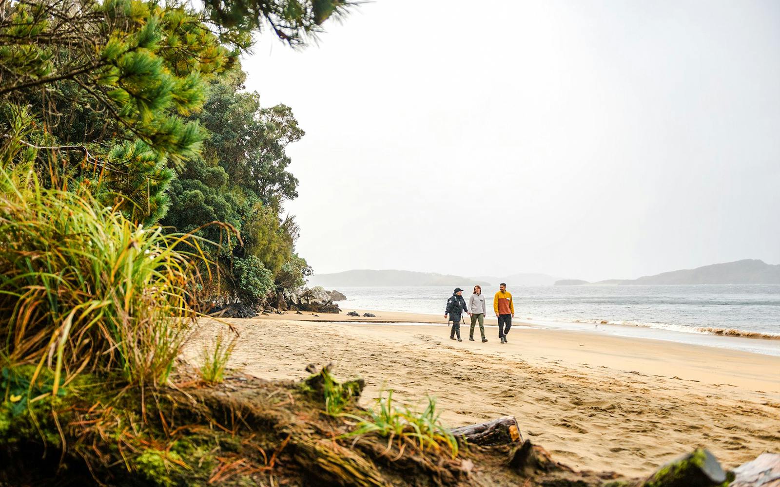 Stewart Island Guided Wilderness Walk
