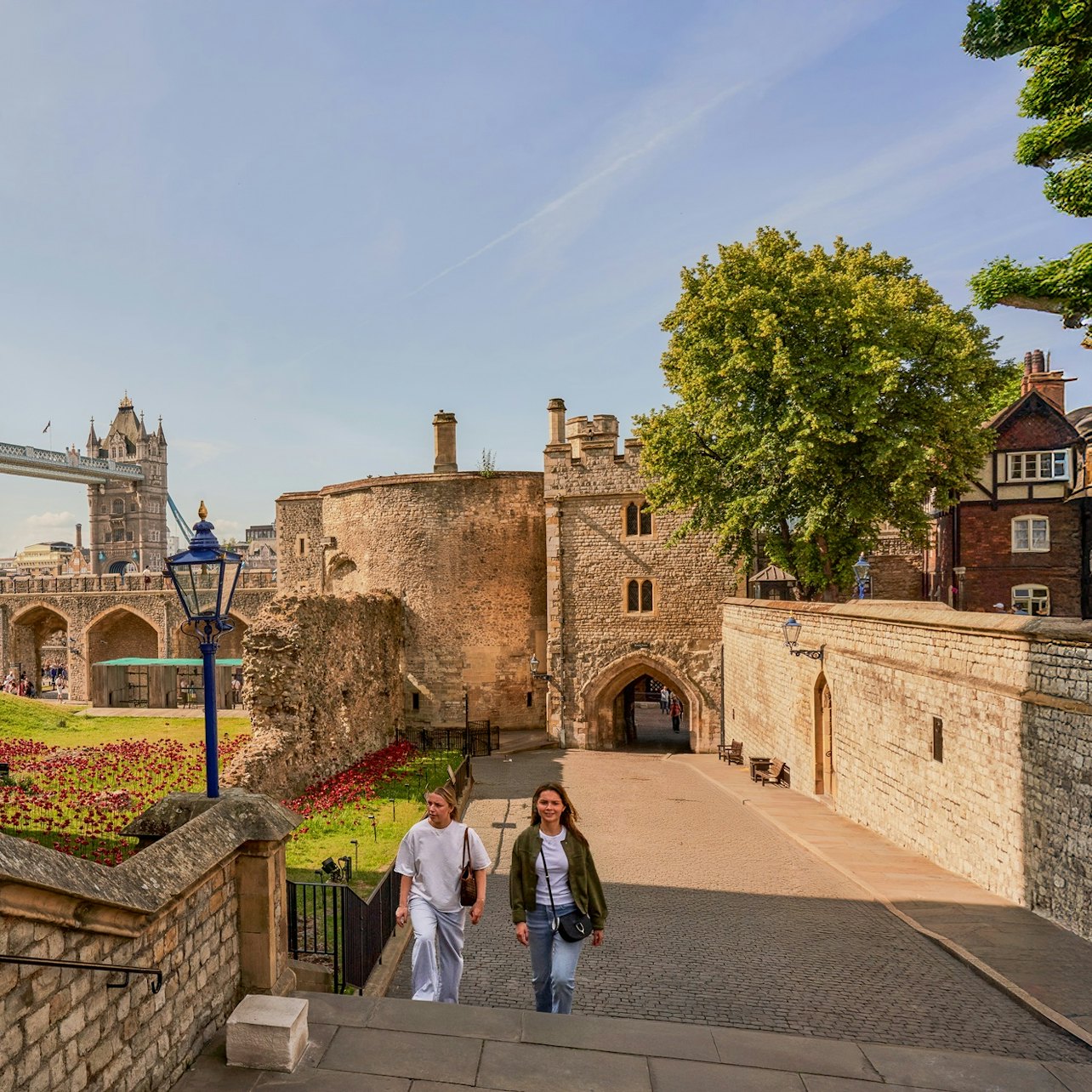 Tower of London: Guided Tour + Thames River Cruise + Crown Jewels Access