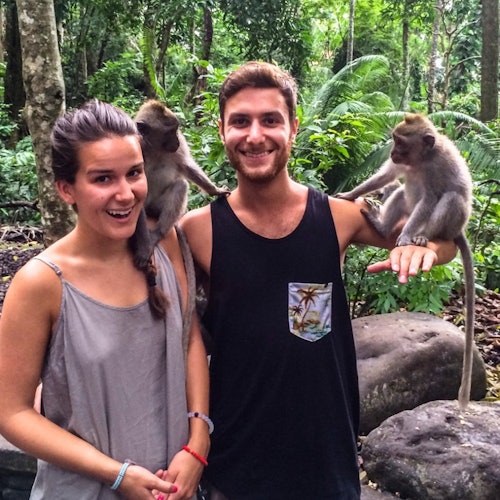 Best of Ubud: Monkey Forest, Rice Terraces, Tegenungan Waterfall & Temples — gallery 3