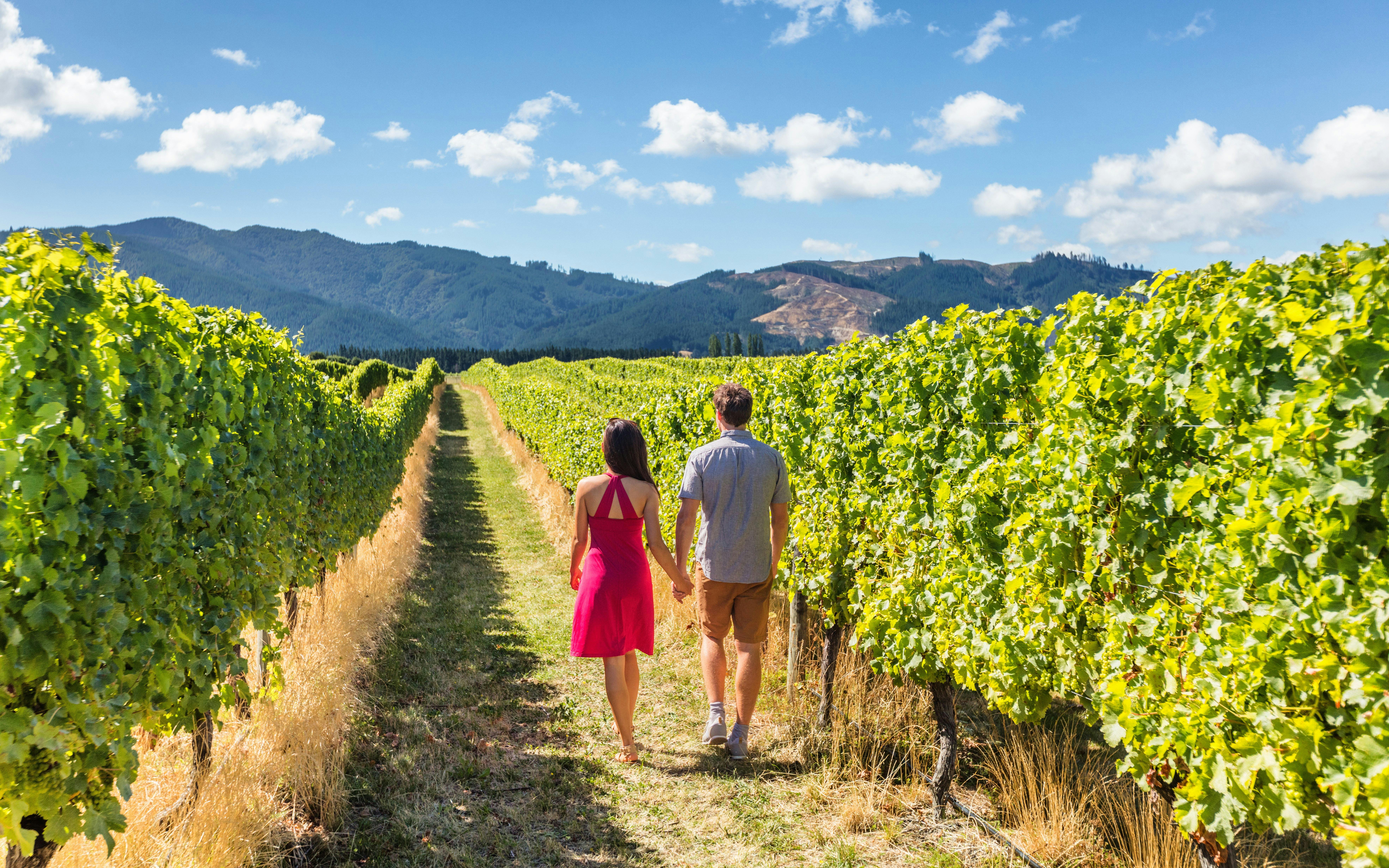 From Naples: Vesuvius Wine Tasting Experience With Mediterranean Lunch