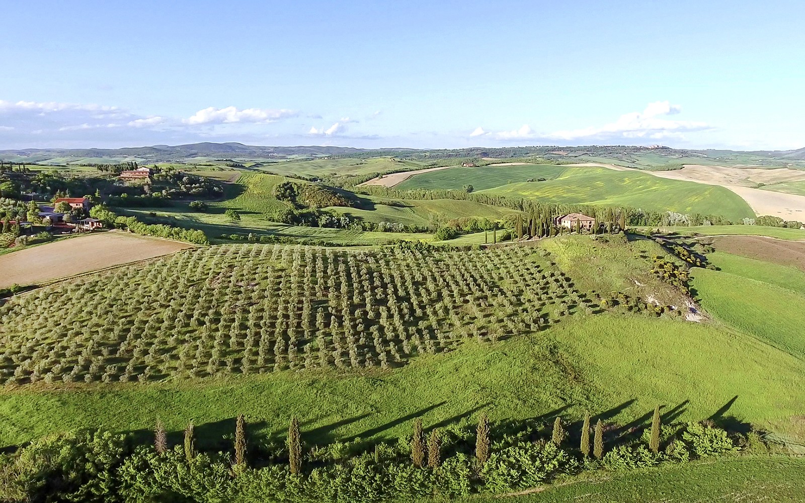 Siena and San Gimignano Day trip from Florence — gallery 5