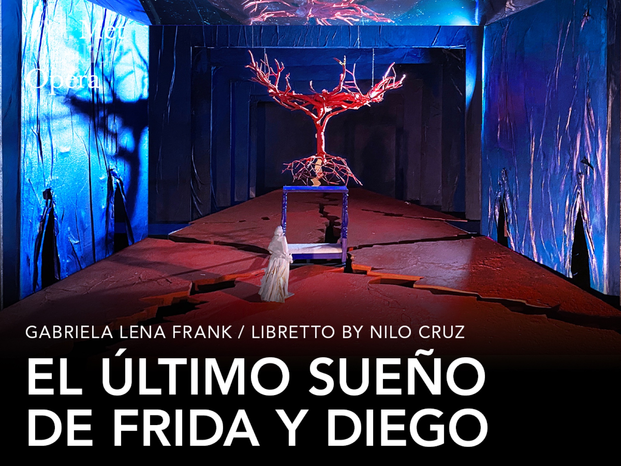 El Ultimo Sueno de Frida y Diego — gallery 1