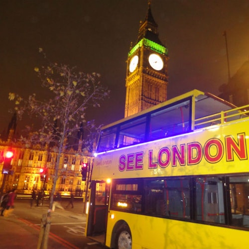 London by Night: Bus Tour with Live Guide — portrait
