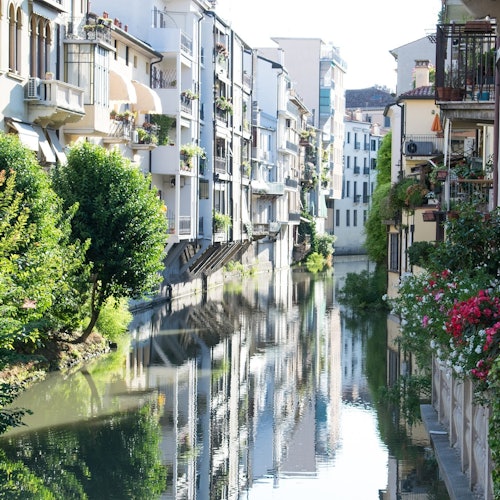 Padua: Guided Tour + Train Transfers from Venice + Botanical Garden Entry — gallery 1